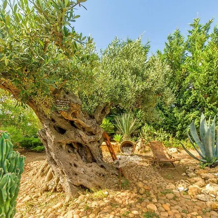 Hébergement de vacances Casa Blandini *